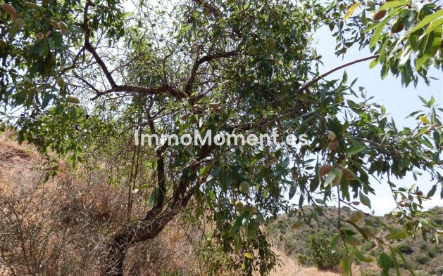 Bestaande woning - Landhuis - Mijas - Mijas Costa