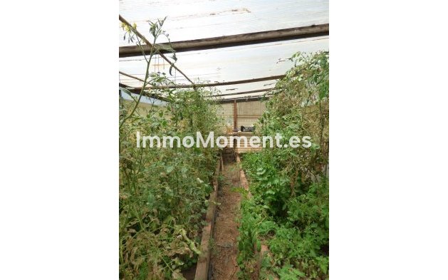 Bestaande woning - Landhuis - Mijas - Mijas Costa