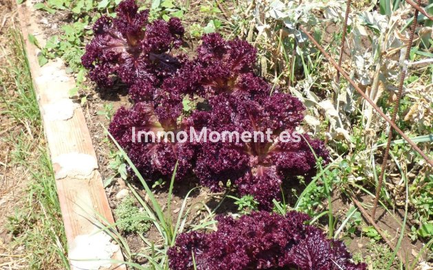 Bestaande woning - Landhuis - Mijas - Mijas Costa