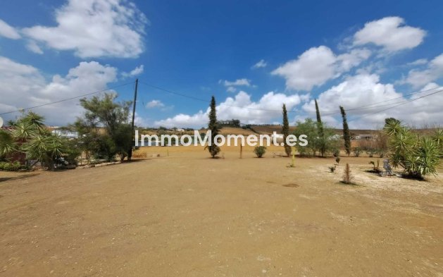 Revente - Maison de campagne - Intérieur                       - Coín