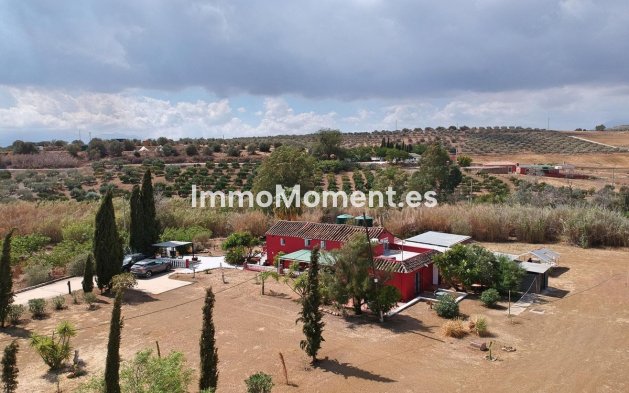 Revente - Maison de campagne - Intérieur                       - Coín