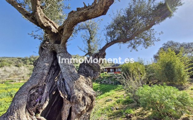 Reventa - Casa de campo - Interior  - Coín