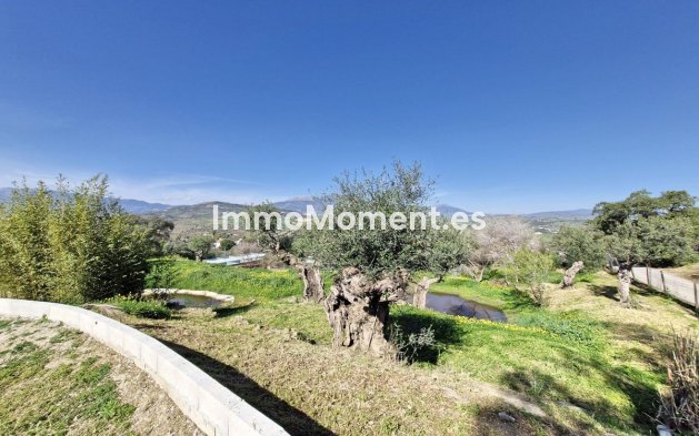 Reventa - Casa de campo - Interior  - Coín