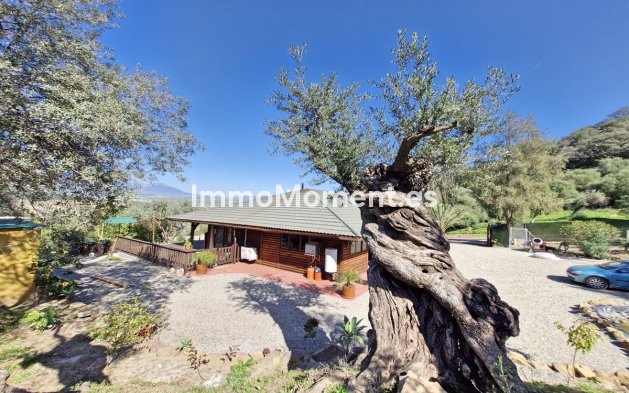 Reventa - Casa de campo - Interior  - Coín