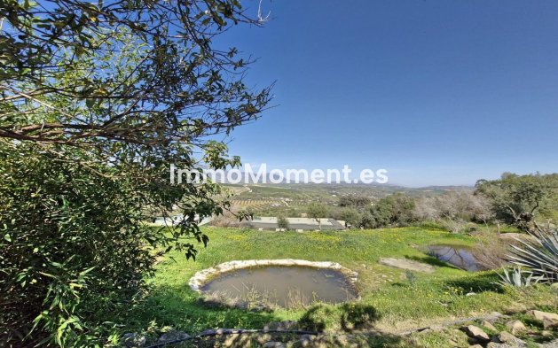 Reventa - Casa de campo - Interior  - Coín