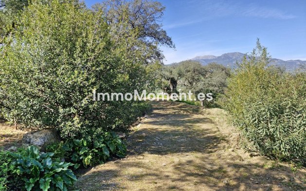 Reventa - Casa de campo - Interior  - Coín