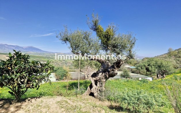 Reventa - Casa de campo - Interior  - Coín