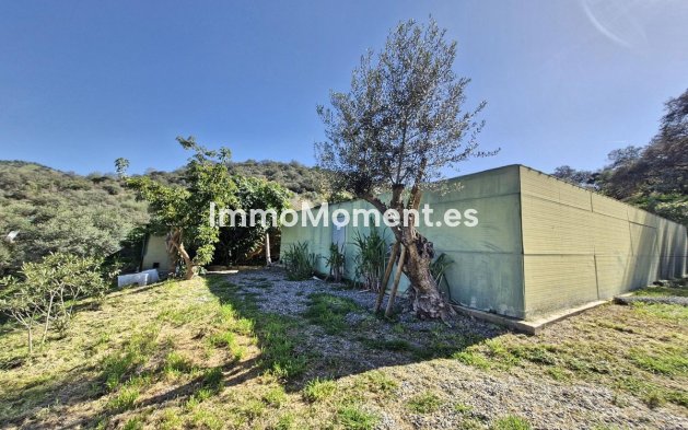 Reventa - Casa de campo - Interior  - Coín