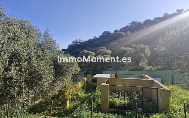 Reventa - Casa de campo - Interior  - Coín