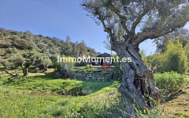 Reventa - Casa de campo - Interior  - Coín