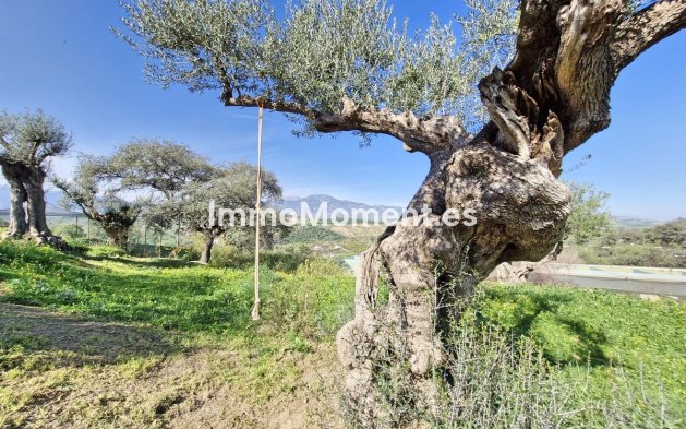 Reventa - Casa de campo - Interior  - Coín