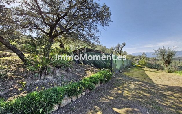 Reventa - Casa de campo - Interior  - Coín