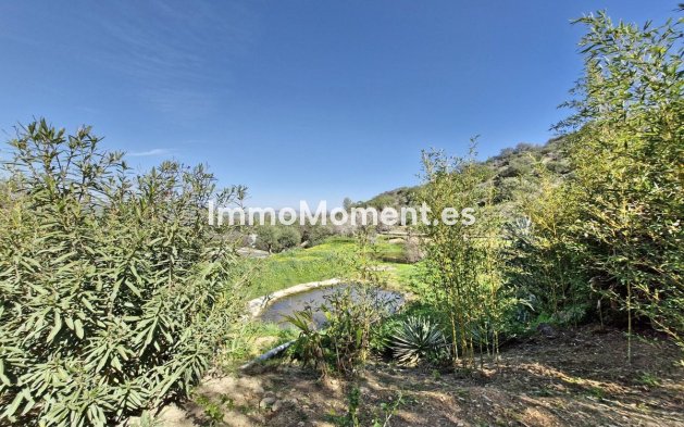 Reventa - Casa de campo - Interior  - Coín