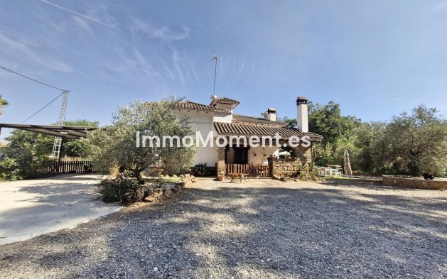 Revente - Maison de campagne - Intérieur                       - Coín