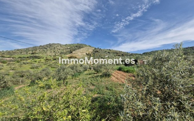Revente - Maison de campagne - Intérieur                       - Coín
