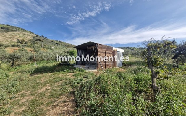 Revente - Maison de campagne - Intérieur                       - Coín