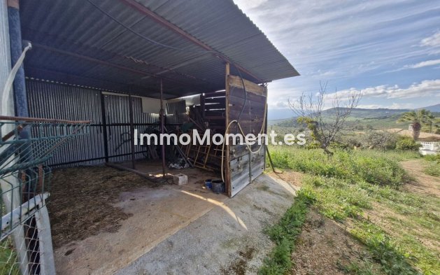 Revente - Maison de campagne - Intérieur                       - Coín