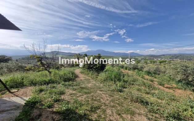 Revente - Maison de campagne - Intérieur                       - Coín