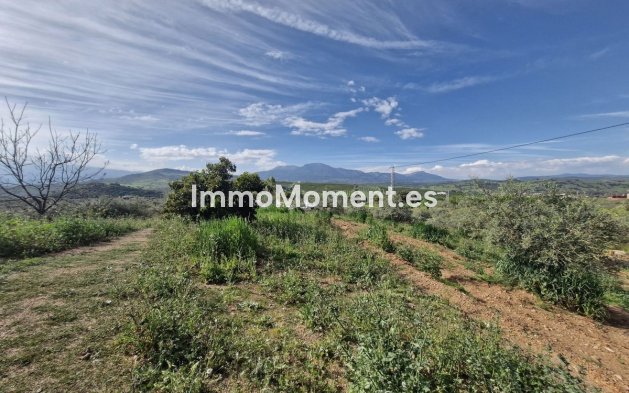 Revente - Maison de campagne - Intérieur                       - Coín