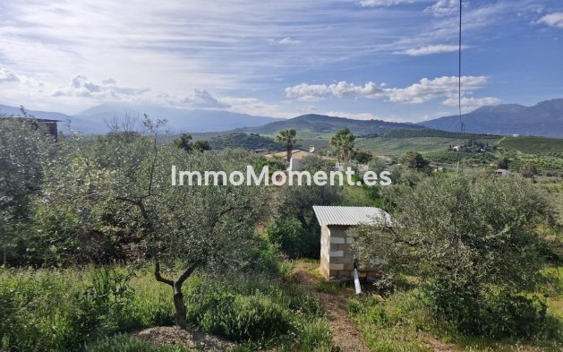 Revente - Maison de campagne - Intérieur                       - Coín