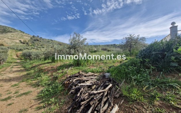 Revente - Maison de campagne - Intérieur                       - Coín