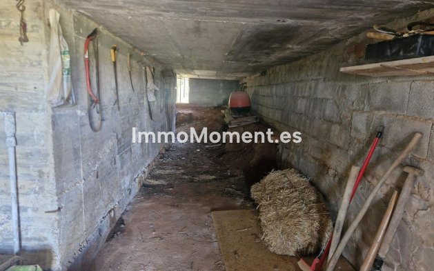 Revente - Maison de campagne - Intérieur                       - Coín