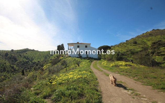 Reventa - Casa de campo - Interior  - Almogía