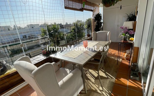 Resale - Apartment - Marbella - Guadalmina Alta