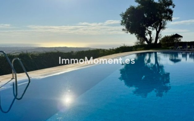 Revente - Maison mitoyenne - Marbella - Elviria