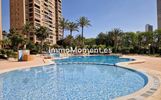Revente - Appartement - Benidorm - Benidorm Centro