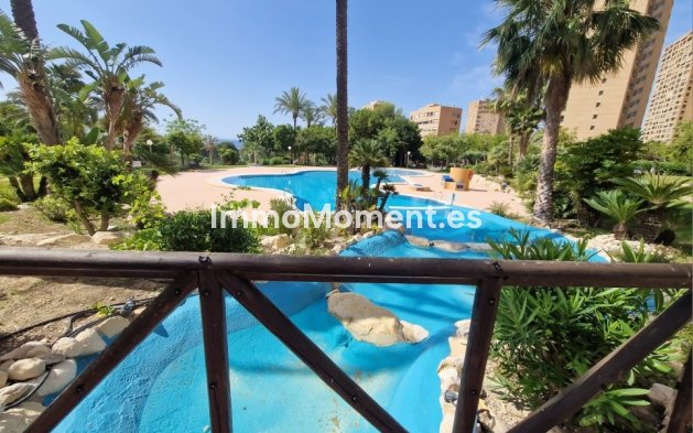 Revente - Appartement - Benidorm - Benidorm Centro