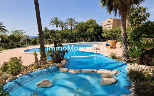 Revente - Appartement - Benidorm - Benidorm Centro