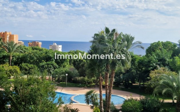 Revente - Appartement - Benidorm - Benidorm Centro
