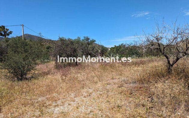 Reventa - Casa de campo - Interior  - Alora