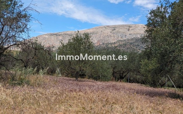 Reventa - Casa de campo - Interior  - Alora