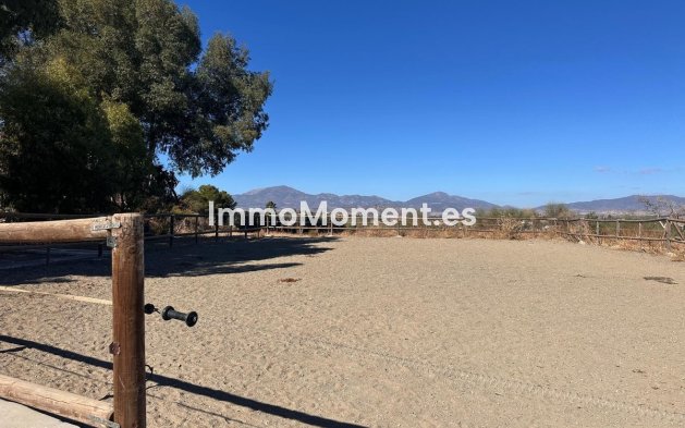 Revente - Maison de campagne - Intérieur                       - Cártama Centro