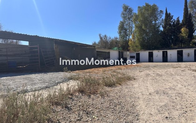 Revente - Maison de campagne - Intérieur                       - Cártama Centro