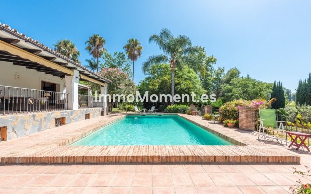 Resale - Villa - El Paraiso - New Golden Mile