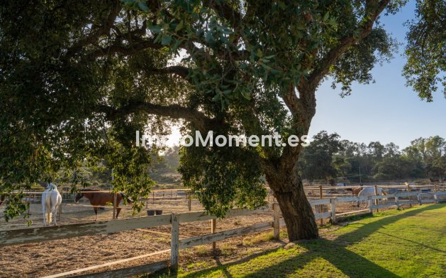 Reventa - Terreno - Sotogrande - San Roque Club