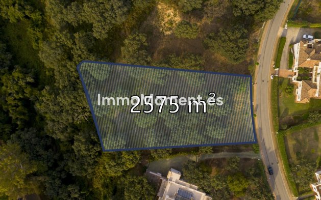 Reventa - Terreno - Sotogrande - San Roque Club