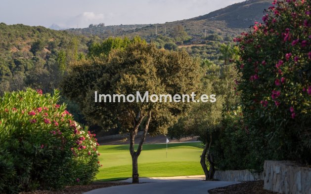 Reventa - Terreno - Sotogrande - San Roque Club