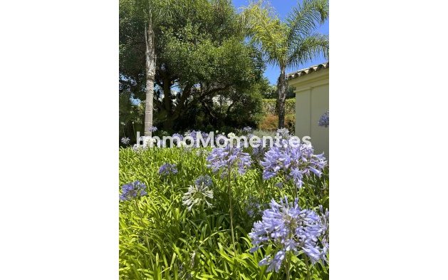 Resale - Apartment - Casares - Casares Centro