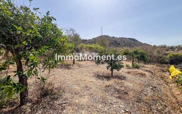 Wiederverkauf - Freistehende Villa - Málaga - Campanillas