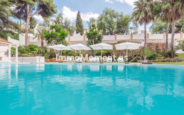 Bestaande woning - Villa - Marbella - Río Real