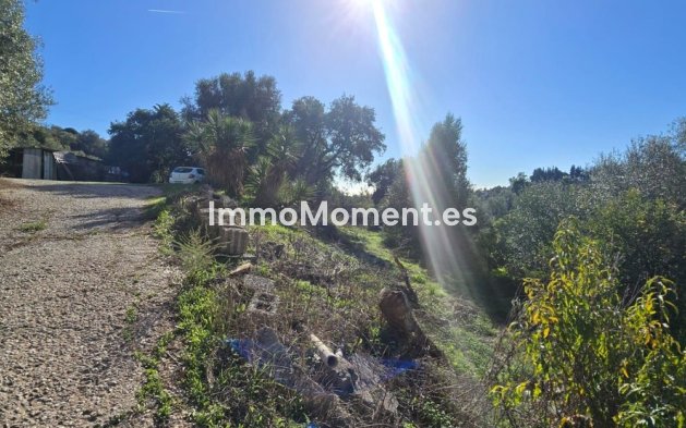 Reventa - Casa de campo - Estepona  - Estepona Centro