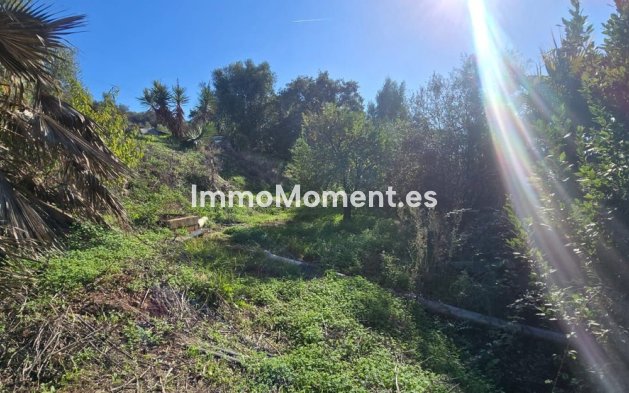 Reventa - Casa de campo - Estepona  - Estepona Centro