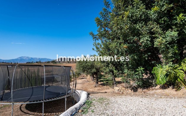 Revente - Maison de campagne - Intérieur                       - Cártama Centro