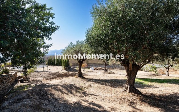 Revente - Maison de campagne - Intérieur                       - Cártama Centro