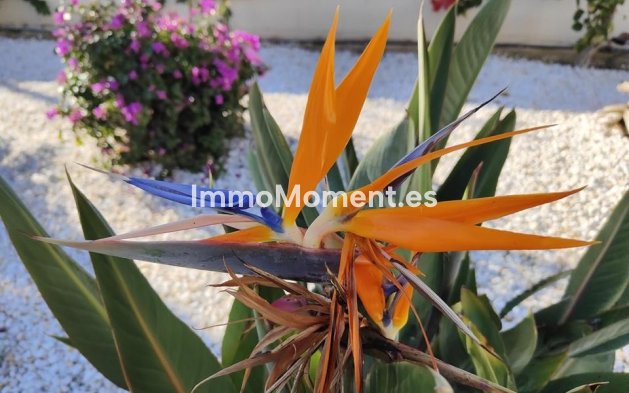 Resale - Apartment - Denia - Denia Centro