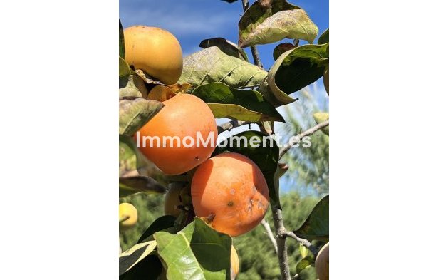 Resale - Country house - Estepona - New Golden Mile